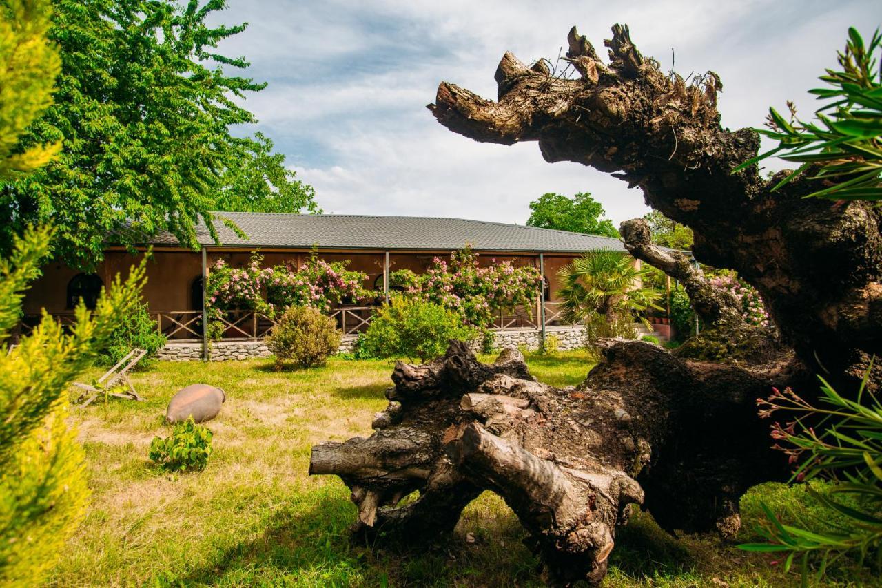 Chateau Eniseli 外观 照片